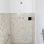 Hotel Aloha Dipendenza Silvie Rose 2*